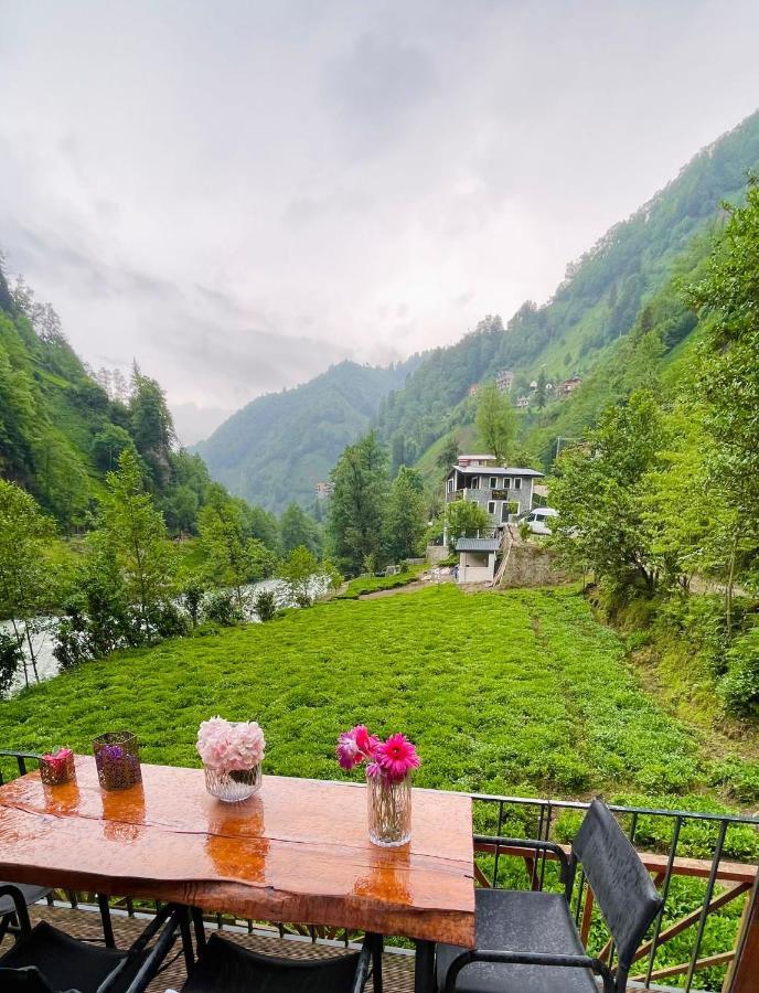 Hotel Vagona Tiny House Rize Exteriér fotografie